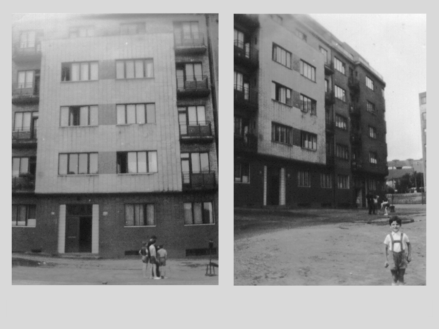 חזיתות צילום 1955